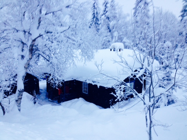 En bild på stuga 293, Vrilvägen 24